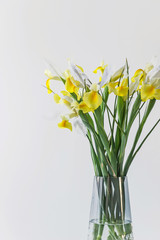 yellow iris flower bouquet in vase with white background