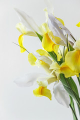 yellow iris flower bouquet in vase with white background