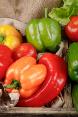 Good selection colorful bell peppers.