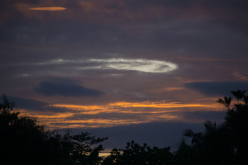 Silhouette of Tree with sunset background 