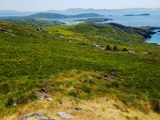 Gras and view of coast and sea, Ireland 