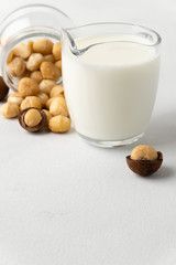 Dairy products without lactose. Scattered macadamia nuts on a light gray surface and macadamia milk in a glass cup. Vertical orientation with copy space.