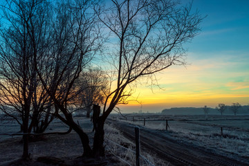 Krajobraz wiejski Podlasia, Podlaskie wierzby, Łagodna zima 2020, Dolina Narwi, Polska