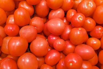 a lot of red tomatoes top view. Abstract natural background.