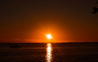 Fototapeta premium OLYMPUS DIGITAL CAMERA