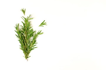 rosemary leaves  bunch isolated on white background. flat lay, top view.