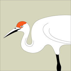 crane bird , vector illustration,  lining draw, profile