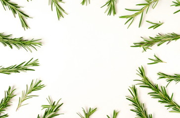 Fototapeta na wymiar rosemary leaves frame isolated on white background. copy space. flat lay, top view.