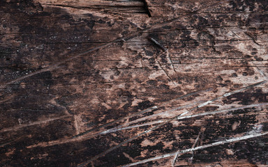 Close up view of rustic plank for vintage theme background design.