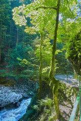 Fototapety na wymiar - Fototapeta24.pl