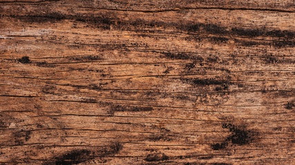 Naklejka premium Texture of old plank for rustic theme design element.