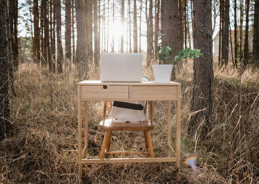 travelling desk and laptop in the middle of a forest at sunset