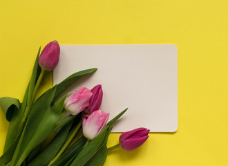 Beautiful spring tulips on yellow background. Concept of Valentines day, Women's Day March eight, Mothers day. Card space for text, flat lay.