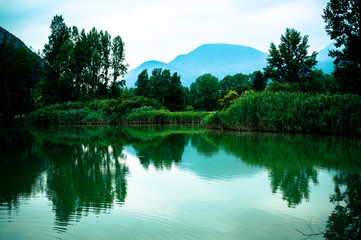 Fototapeta na wymiar Lake with reeds on a background of mountains