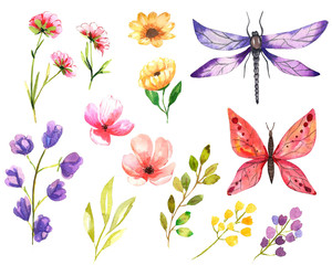 Watercolor illustration.