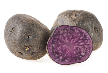 Fresh vitelotte potatoes isolated on a white background. Vitolette noir or purple potato.