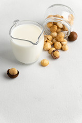 Dairy-free milk. Dairy products without lactose. Scattered macadamia nuts on a light gray surface and macadamia milk in a glass cup. Copy space.