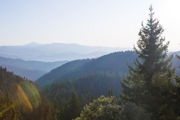 Dawn in the mountains-firs and peaks of the mountain range in the fog and in the light of the first cold rays of the sun . View from the hotel window in the mountains with a view of the mountains