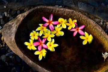 Obraz na płótnie Canvas Thai flower composition on the background of a rough stone bowl. Pattaya, Thailand-February 2018.