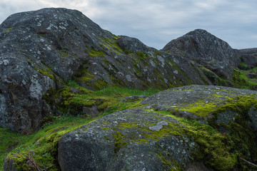 Fototapeta na wymiar Close up landscape of large moss-covered boulders and cloudy sky at Cap Sante Park in Anacortes, Washington
