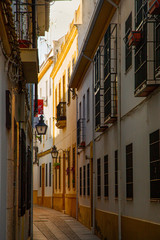 Fototapeta na wymiar Street in Cordoba Andalucia Andaluzia Spain