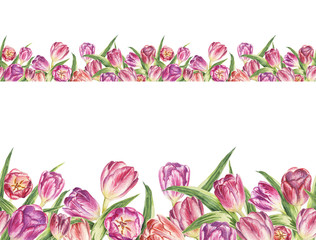 Seamless ribbon border. Tulips on a white background.Design for packaging, fabric, frame, paper.