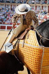 Hitting a bull in a bullfight