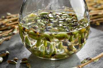 Preparation of a gemmotherapy tincture from willow buds
