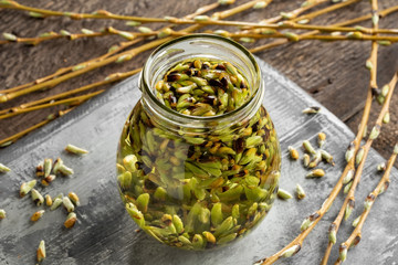 Preparation of a gemmotherapy tincture from white willow buds © Madeleine Steinbach