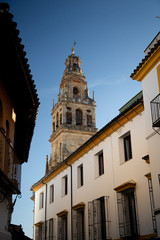 Fototapeta na wymiar Cordoba Cathedral-Mezquita Mosque Cathedral Belltower in Andalucia Andaluzia Spain