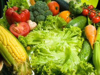 Macro image of fresh green salad leaves and big assortment of vegetables on cooking table