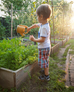 Cute 3 Years Old Toddler Boy Watering Garden From Plastic Can