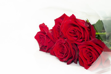 Red roses isolated on a white background. Bouquet of red roses. Bouquet of fresh flowers.