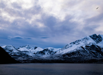 Fototapeta na wymiar montagne Norvège 