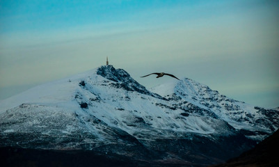 Norv&egrave;ge montagne et oiseau