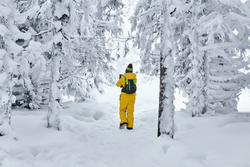 woman hiker walks through a winter forest looking into a handheld computer