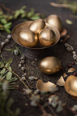 Easter holiday concept. The eggs are painted with gold paint and lie on a dark background with dry branches of spruce. Blurred focus image