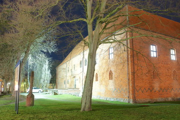 Zamek w Ostródzie © Rafa