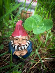 Forest Gnome Stands Next to Four Leaf Clover