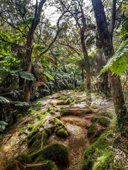 Ile de la Réunion