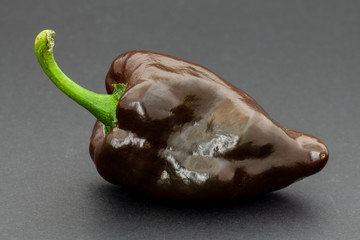 One single ripe brown Mulato Iseno chile pepper on black background. - obrazy, fototapety, plakaty
