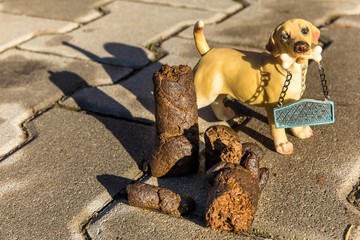 Excrement dog on floor. Shit on the street. Shit of dog on the street pavement. Concept of picking up dog waste shit, cleaning city urban environment