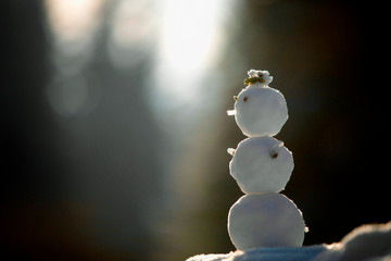 snowman on a blue background