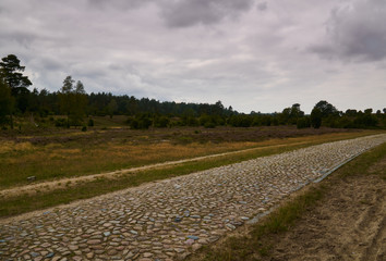 Cobblestone road in Lüneburger pagan