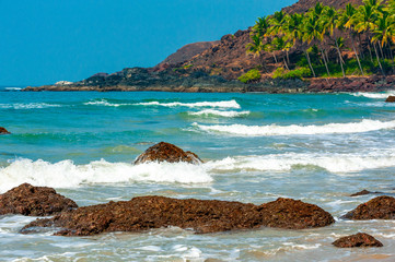 Beach with palm trees in Goa. India..