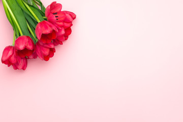 Composition of red tulips on the pink background. Flat lay, top view, copy space. Womens day, Mothers day, spring concept. Flower decoration