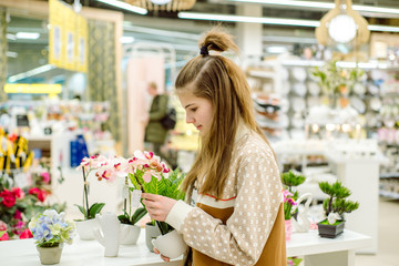 Gardening, flowers .Lovely girl with summer flowers in the garden center. Young teenager girl with blooming orchid. Emotionally laughs when choosing a gift