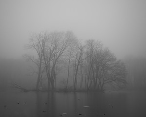 Fototapeta na wymiar Pond in winter in a foggy forest