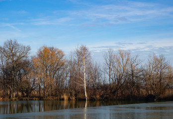 Small lake on a sunny winter day