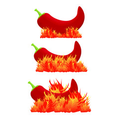 Chili pepper hotness levels icon set. Vector.